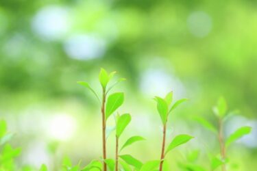 弁護士法人心の実力は？競合事務所と徹底比較！
