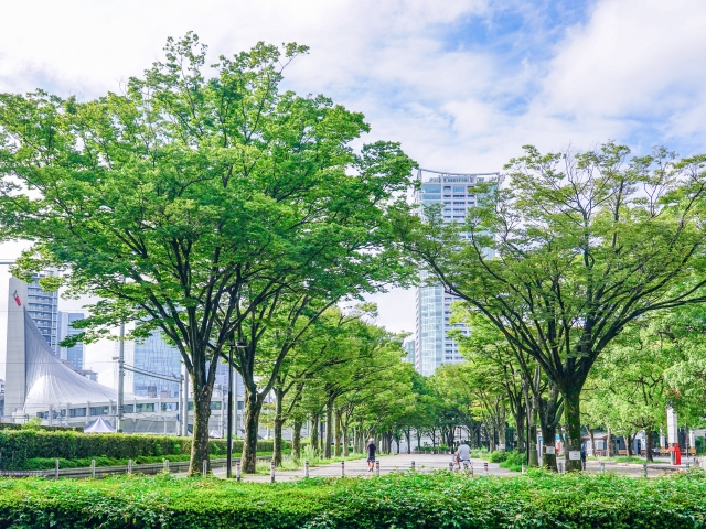 代々木-アピエス